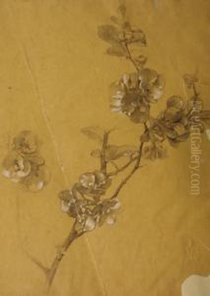 Lot De 8 Etudes De Fleurs Et De Feuilles Oil Painting by Alexis Fournier