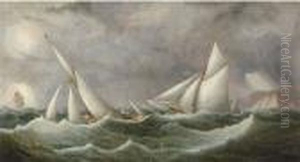 Latona And Florinda On Opposite 
Tacks With Enchantress Off St.catherine's Point In The Ryde Regatta's 
Commodore's Cup Race Ofaugust 1881 Oil Painting by Arthur Wellington Fowles