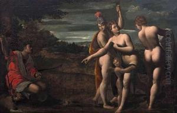 Paolo Fiammingo Oil Painting by Paolo Fiammingo