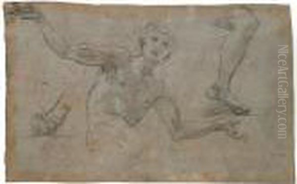 A Sheet Of Studies: A Male 
Figure, Half Length, His Arms Outstreched, And Separate Studies Of A 
Left Leg And Right Foot Oil Painting by Baldassarre Franceschini