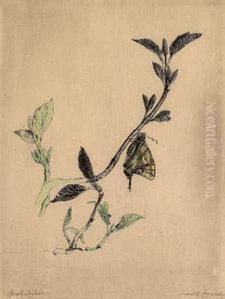 Butterfly Oil Painting by Hans Frank