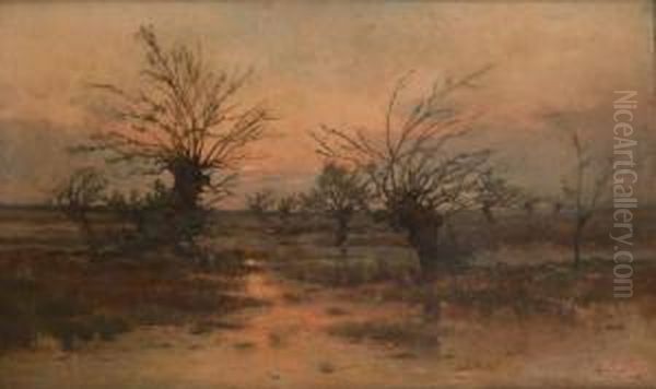 Coucher De Soleilsur Le Marais Oil Painting by Lucien Frank