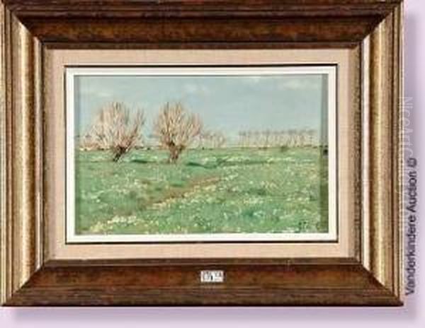 Paysage Cotier Oil Painting by Lucien Frank