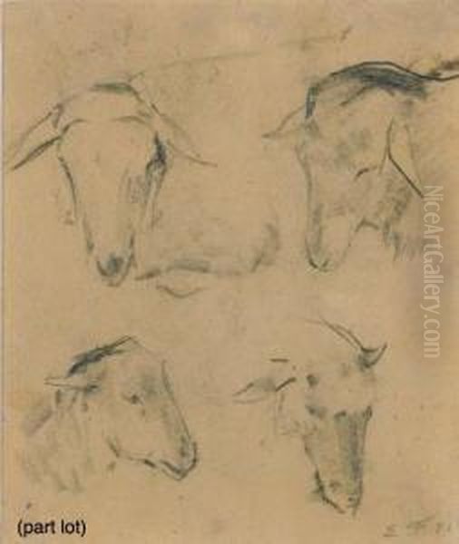 Study Of Sheep Heads Oil Painting by Friant Emile