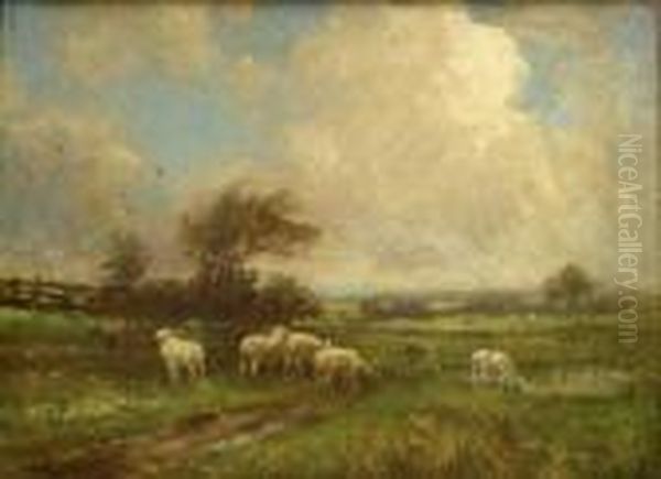Sheep In Landscape Oil Painting by Arthur A. Friedenson