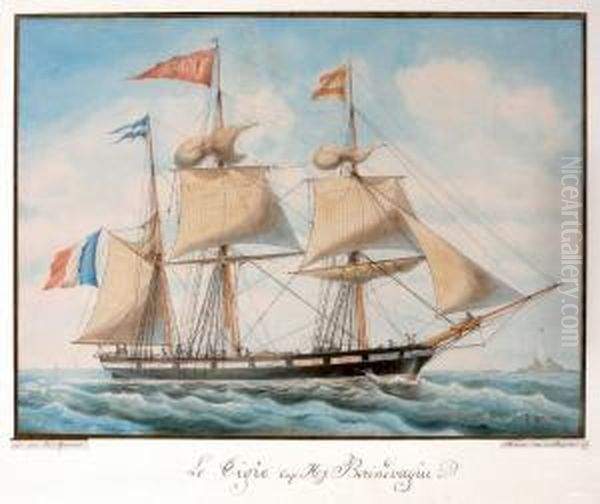 Le Tigre Cap. Hy. Berindoague
Aquarelle Sur Papier Oil Painting by Louis Gamain