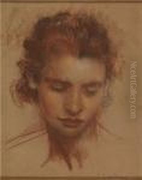 La Figlia Di Pietro Gaudenzi Oil Painting by Pietro Gaudenzi