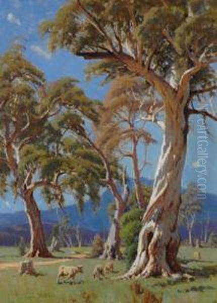 Sheep Grazing Beneath An Old Gum Oil Painting by Robert Edgar Taylor Ghee