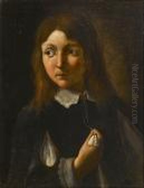 Portrait Of A Young Boy, 
Half-length, In A Black Coat With Sleeves Slashed To Reveal White, And A
 White Lawn Collar Oil Painting by Pier Leone Ghezzi