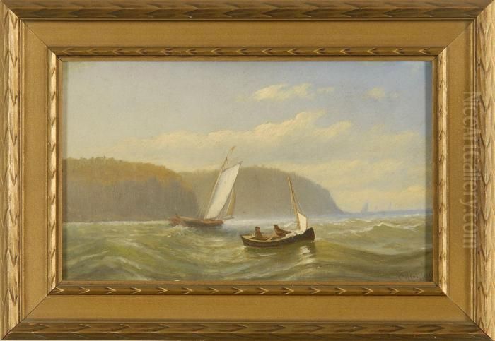 Coast Of Grand Manan