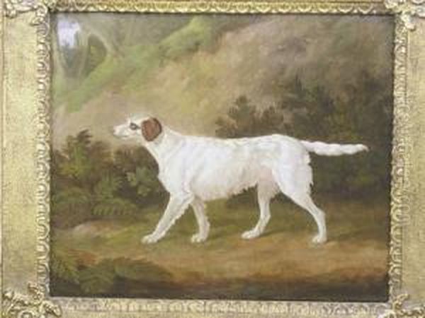 The Celebrated Setter Purchased 
At Major Henry Lyon's Sale By Phillips Son & Neale 2nd July 1888 Oil Painting by Edmund Gill