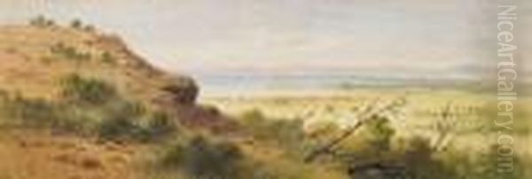Spencer Gulf, South Australia Oil Painting by Samuel Thomas Gill