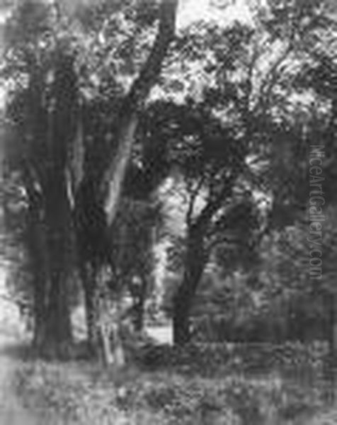 Giroux, Andr
Paysage Oil Painting by Andre Giroux