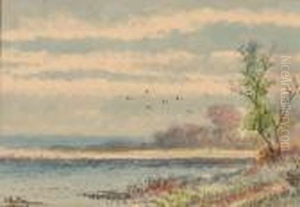 Birds In Flight Over Salt Marshes Oil Painting by Alfred Glendening