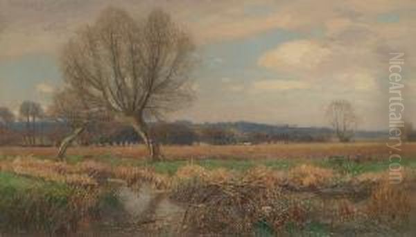 Water Meadows Oil Painting by Walter H. Goldsmith