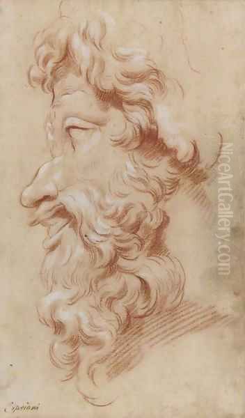 Study of the profile of a bearded God Oil Painting by Giovanni Batista Cipriani