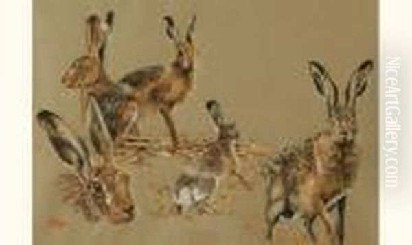 Le Lievre, Etude Oil Painting by Henry