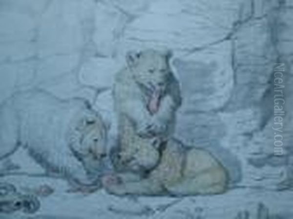 A Family Of Bears On A Crag; 
Black Crayon With Touches Of Watercolour, Signed, 48.5x78.5cm Oil Painting by Ernest Henry Griset