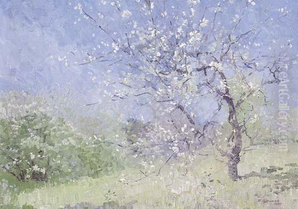 Blossoms Oil Painting by Elioth Gruner