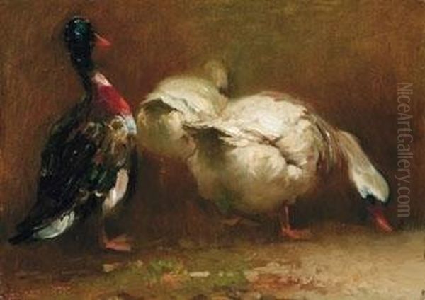 Le Anatre Oil Painting by Giovanni Guarlotti