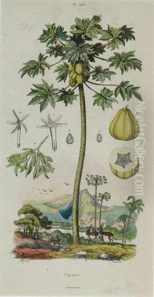 [palm Trees]: Six Plates Oil Painting by Ernest Guerin