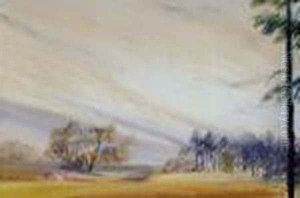 Na Okraji Lesa Oil Painting by Edmund Gwerk