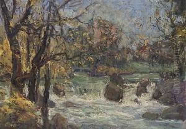 Eisbach.(englischer Garten,
 Munchen). Oil Painting by Karl Haider