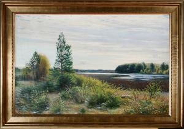 Autumn Scenery From Store 
Vildmose Bog, Denmark. Signed Sigvard Hansen. Oil On Canvas. 81 X 126 Cm Oil Painting by Sigvard Hansen