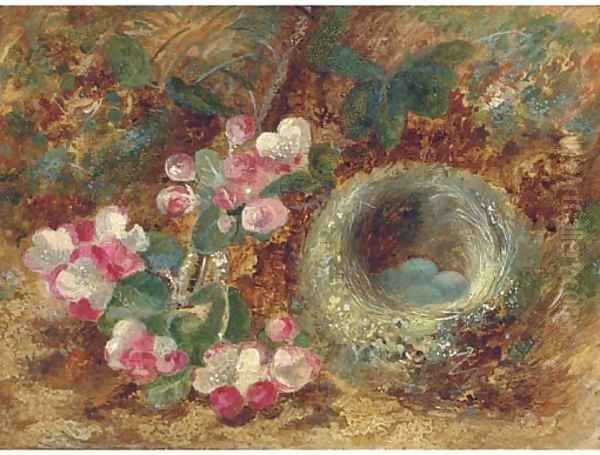 Apple blossom and a bird's nest on a mossy bank Oil Painting by Vincent Clare