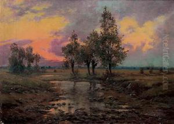 Pejzaz Z Rozlewiskami Oil Painting by Marceli Harasimowicz