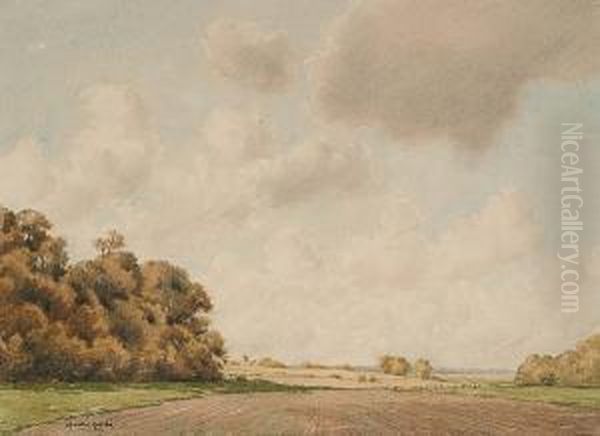 View Over A Rural Landscape Oil Painting by Martin Hardie