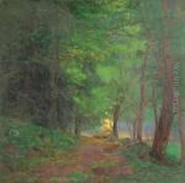 Lesni Cesta Oil Painting by Roman Havelka