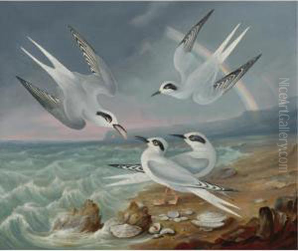 Havell Terns At The Shore Oil Painting by Robert Havell, Jr.