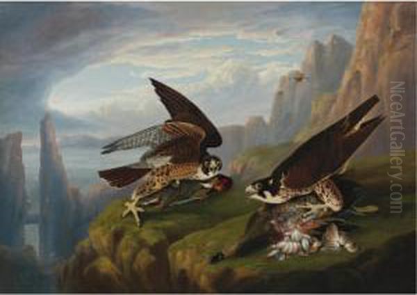 Peregrine Falcon (great-footed Hawk) Oil Painting by Robert Havell, Jr.