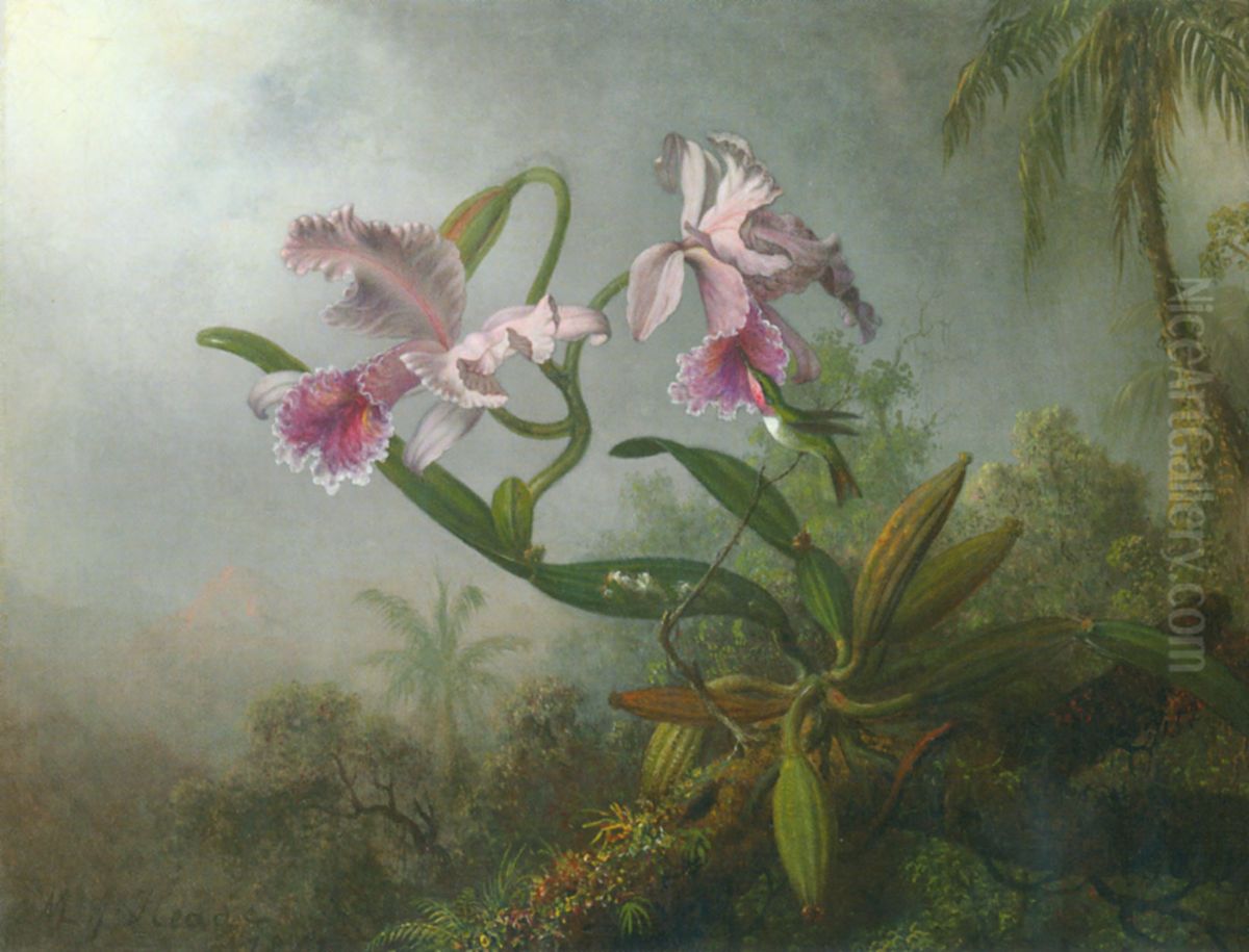 Pink Orchids And Hummingbird On A Twig Oil Painting by Martin Johnson Heade