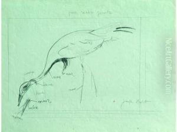 Etude De Grues Crayon Noir Sur Papierbleu Oil Painting by Joseph Hecht