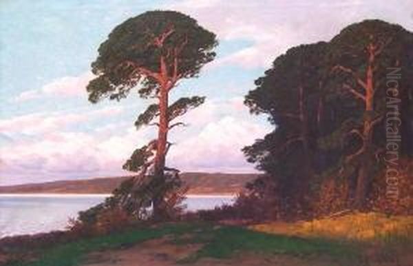 Baumbestandene Markische 
Uferlandschaft Mit Wetter Gezeichneter Einzelner Kiefer Im Abendrot Oil Painting by Rudolf Hellgrewe