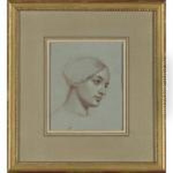 Portrait Of A Lady Oil Painting by Alexandre-Jean-Baptiste Hesse