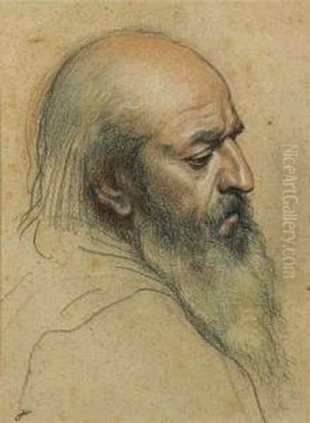 Tete De Vieil Homme Oil Painting by Alexandre-Jean-Baptiste Hesse