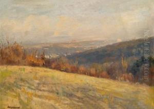 Blick Auf Wien Vom Lainzertiergarten Oil Painting by Anton Hlavacek