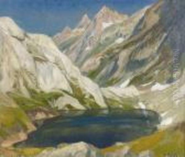 Grimselpass Im Sommer. Oil Painting by Ernst I Hodel