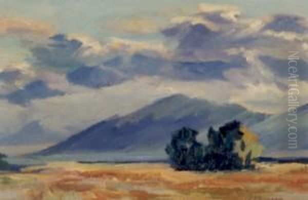 Evening On The California Desert Oil Painting by Carl Hoerman