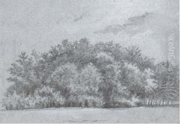 Vue D'un Taillis Dans Le Bois De Boulogne Oil Painting by Claude Jean Baptiste Hoin