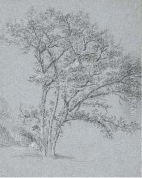 Trois Arbres Oil Painting by Claude Jean Baptiste Hoin