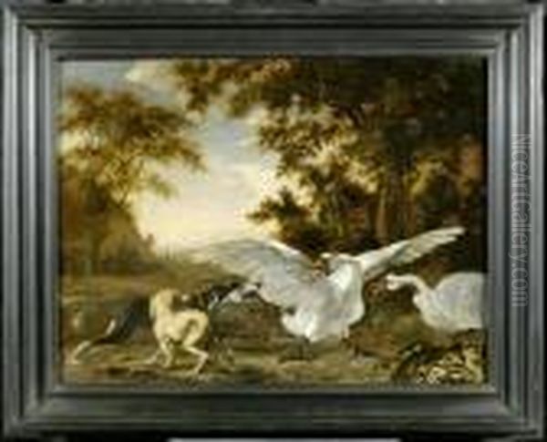 Two Swans Threatened By A Hunting Dog Oil Painting by Abraham Danielsz. Hondius