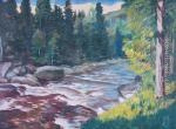 Soumarsky Potok Oil Painting by Antonin Hudecek