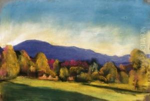 Nagybanya Oil Painting by David Jandi