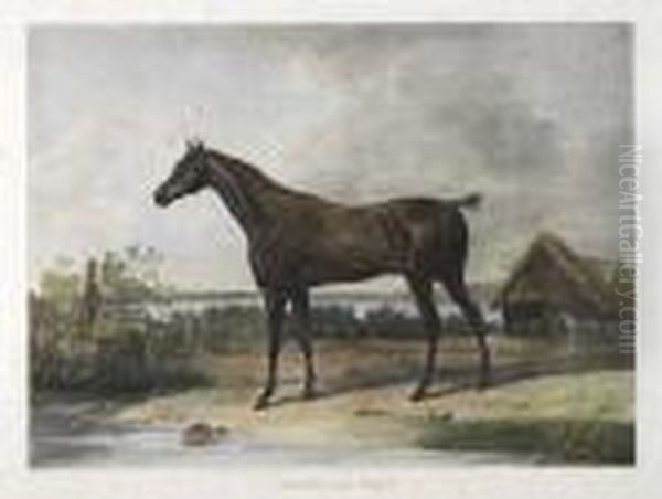 Conjunto De Quatro Gravuras, 
Agua-tintas, Representando Cavalos, Segundo Os Quadros De Carle Vernet E
 Horace Vernet. Perfeitas, De Grande Impacto Decorativo E Mestria De 
Execucao. Sem Data (1 Metade Do Seculo Xix). As Quatro Gravuras Tem As 
Seguin Oil Painting by Jean Pierre Marie Jazet