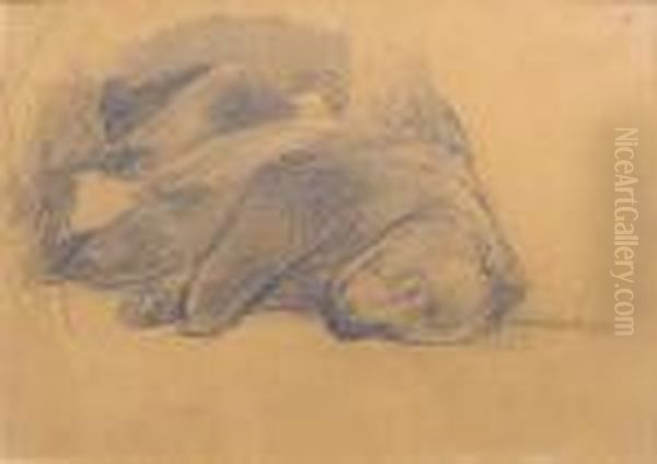 Sleeping Bear Study Oil Painting by Frank Johnson