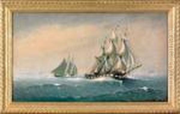 Clipper Ship Marco Polo Leaving Bay Of Fundy Oil Painting by Johnson, Marshall